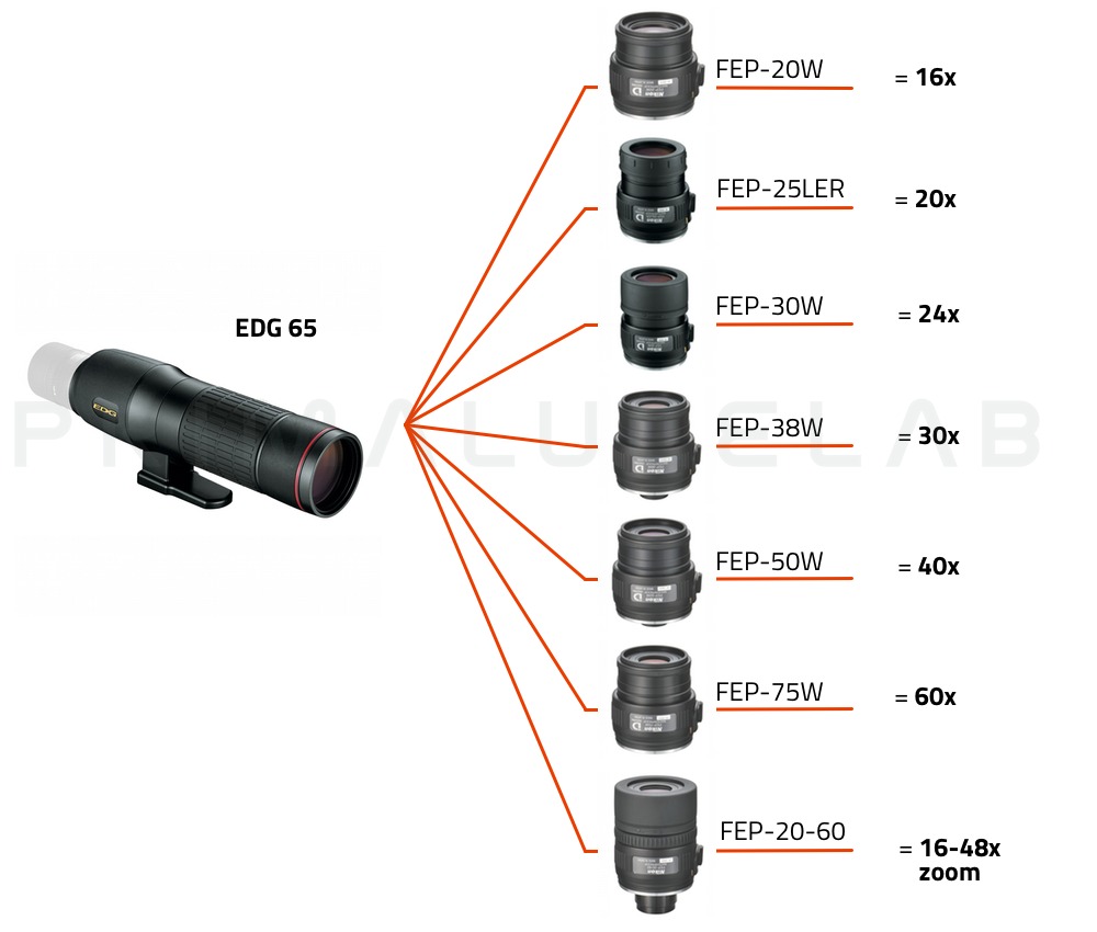 Nikon store edg 65